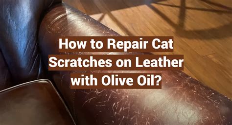 How To Repair Cat Scratches On Leather With Olive Oil Leatherprofy