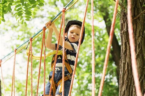 Kids Climbing Adventure Park Boy Enjoys Climbing Rope Stock Photos