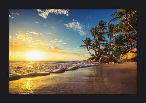 Tropical Scene - Palms & Beach Sunset - Lantern Press Photography (18x12 Giclee Art Print ...