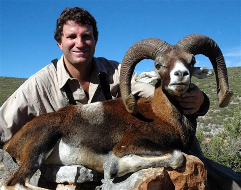3 Day Iberian Mouflon Hunt For Two Hunters In Spain Includes Trophy