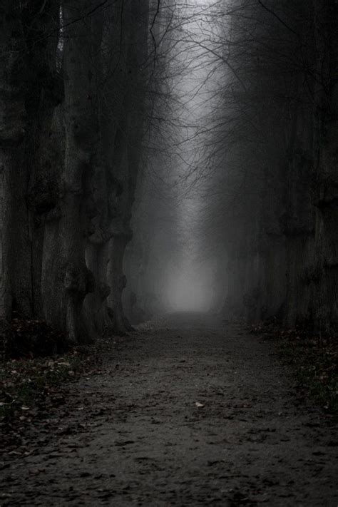 The Dark Ominous Path Dark Forest Fantasy Landscape Dark Places