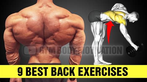 Build Bigger Back With 9 Most Effective Exercises Cable Arm Workout
