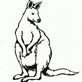Coloring Kangaroo Cute Pages Popular sketch template