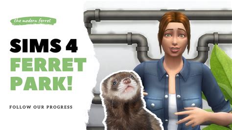 Sims 4 Dog Park But For Ferrets Youtube