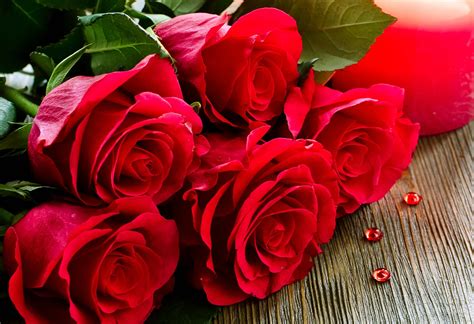 Red Roses Hd Wallpapers Top Free Red Roses Hd Backgrounds