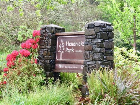 Over 169 feriehuse med anmeldelser til både korte og. Hendricks Park (Eugene) - All You Need to Know Before You ...