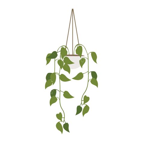 Hanging Plant Indoor Garden Flower Vector Hanging Plant Flower