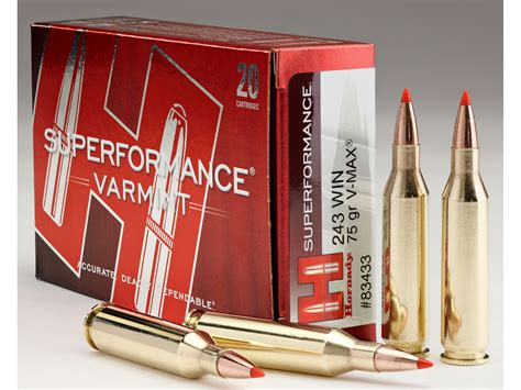 Hornady Superformance Varmint Ammo 243 Winchester 75 Grain V Max Box