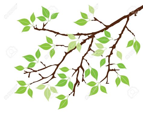 Vector Tree Branch With Leaves Tree Drawing Tree Stencil Vector Trees