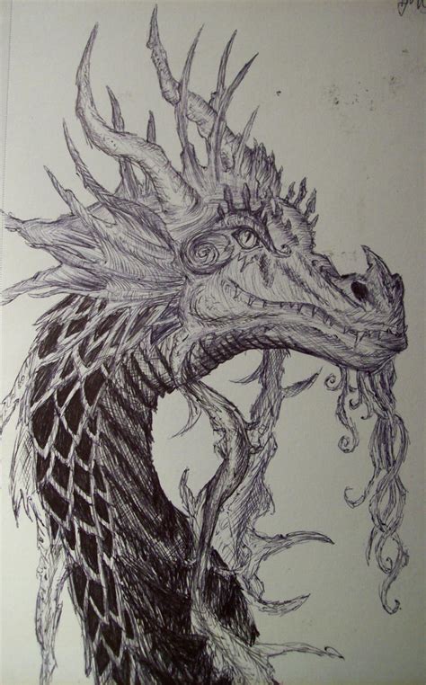 European Dragon By Chimraff On Deviantart