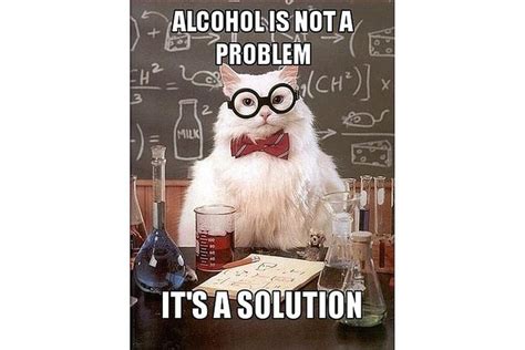 The Best Of The Chemistry Cat Meme Chemistry Cat Science Memes