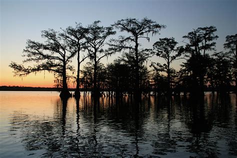 Sunset Bayou With Old Cypress Trees Photograph By James Mayo Pixels