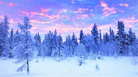 Lapland Winter Travel Travel And Tour Packages To The Swedish Lapland