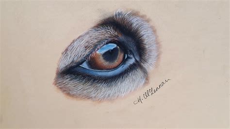 Drawing Of Dogs Eye In Pastel Pencils Timelapse Youtube