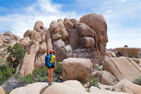 The 7 Best Joshua Tree Hikes According To A Pro Hiker
