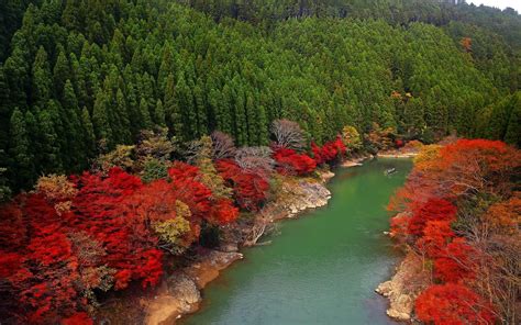 Fall River Forest Japan Red Green Leaves Trees Colorful Nature Landscape Hill Boat
