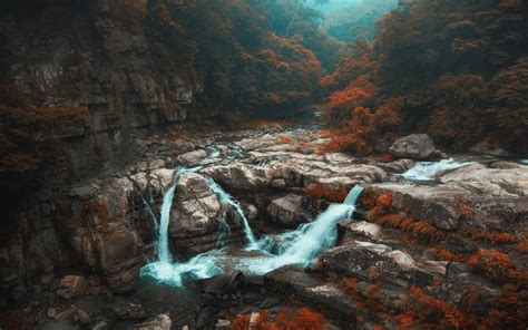 Nature Landscape Fall Forest Waterfall Trees River Mist Shrubs Taiwan