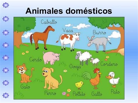 Animales Domésticos Y Salvajes