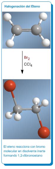 Halogenaci N De Alquenos Org Nic Chemistry