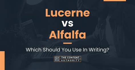 Lucerne Vs Alfalfa Which Should You Use In Writing