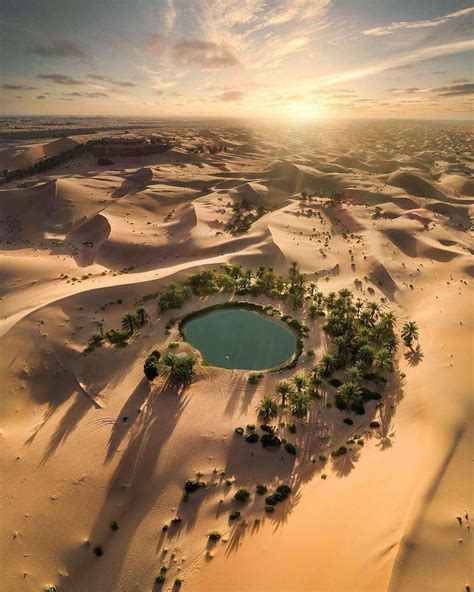 This Is What A Desert Oasis Looks Like Ive Always Heard Of Them But