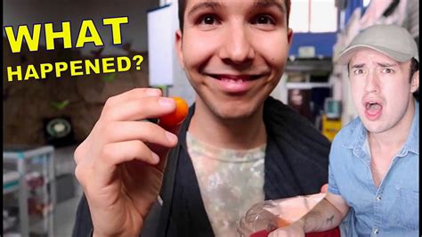 Nikocado Avocado Then And Now