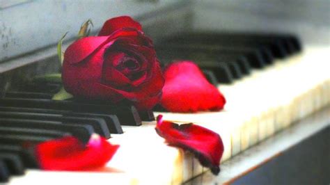 Beautiful Piano Music Romantic Relaxing Music Positive Music Study