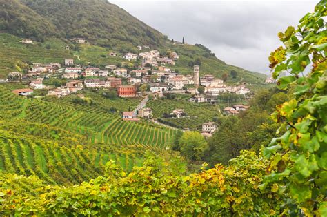 Veneto Wine Region, Italy | Winetourism