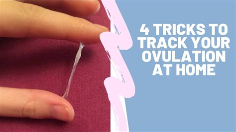 4 Tricks To Track Your Ovulation At Home Youtube