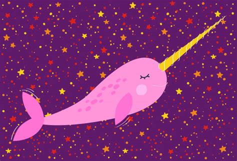 Narwhals Illustrations Royalty Free Vector Graphics And Clip Art Istock