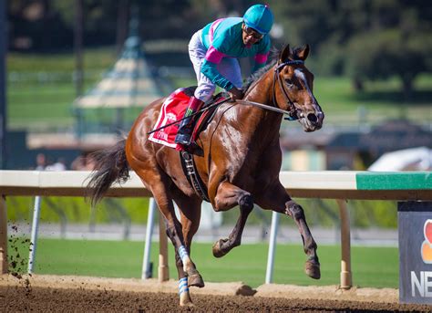 Road to the Breeders' Cup: Three Heating Up, Three Cooling Down ...