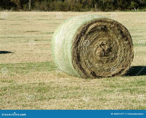 Large Round Hay Bale In A Field Stock Image Image Of Bales