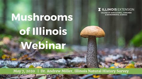 Mushrooms Of Illinois Webinar May 7 2020 Youtube