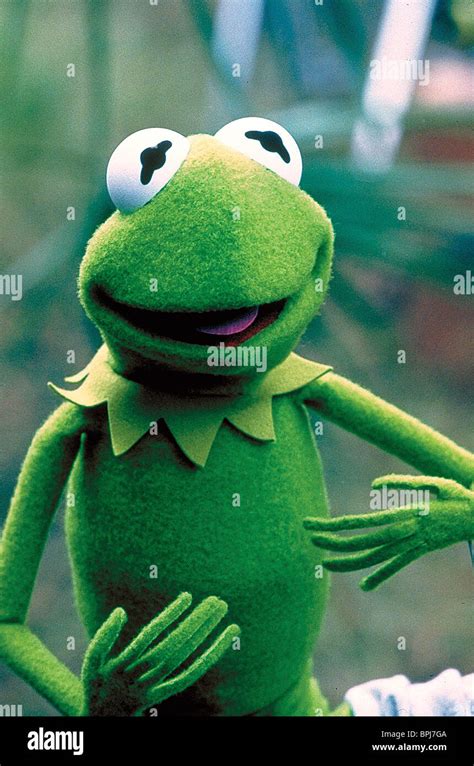 Kermit Kermits Swamp Years The Real Story Behind Kermit The Frogs
