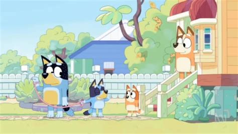 Bluey Season 1 Episode 50 Shaun Watch Cartoons Online Watch Anime