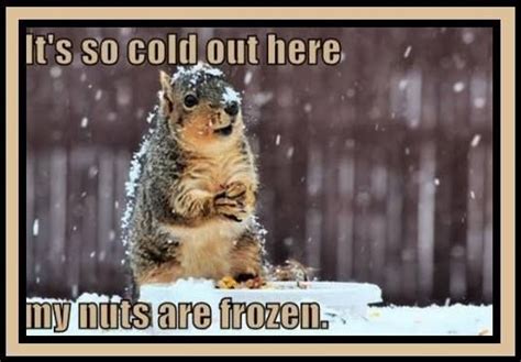 its so cold outside funny quotes funny goal