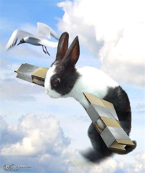 Flying Bunny By Molf Made For Worth1000 Rabbit Rabbit Rabbit Bunny Art