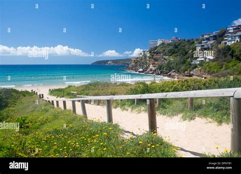 Freshwater Beach Northern Beaches Warringah Sydney New South Wales