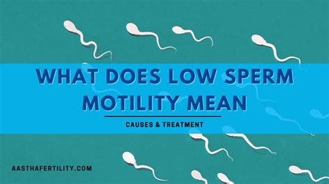 Low Sperm Motility Its Causes Treatment More