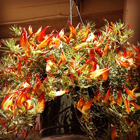 I called flowers by maryellen and maryellen picked up the phone and was immediately receptive to my concerns. My New Workout Playlist {May 2013} • Foodie Loves Fitness