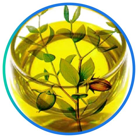 Ximenia Seed Oil
