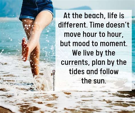 25 Beach Quotes For Some Ocean Breeze Vibe