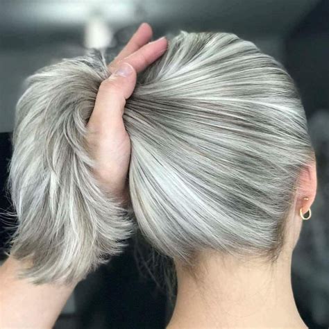 Ash Brown Hair Color Silver Hair Color Cool Hair Color White Gray Hair Color Brown Colors
