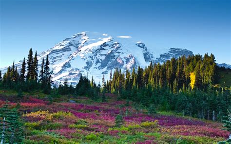 Nature Landscape Mountains With Snow Forest Meadow Flowers Field