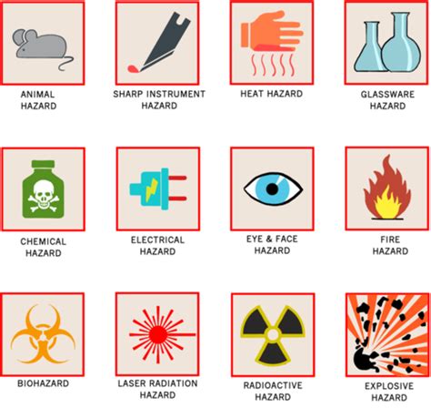 Please note that the graphics below represent our. Common safety symbols that can be found in the lab
