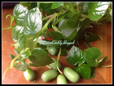 You're just looking for good airdrops that pay off? Z'Ria Perfume: Salad ketumpang air/kekabu air/sirih cina ...