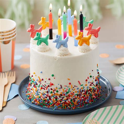 Sprinkle On The Fun Birthday Cake Wilton