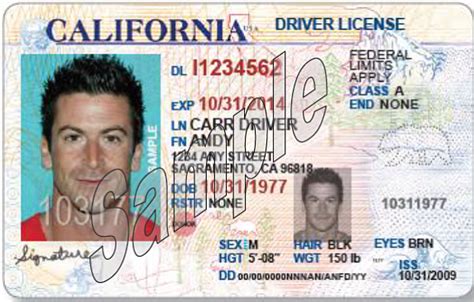 Dmv New California Licenses Meant To Increase Safety Not Deportations