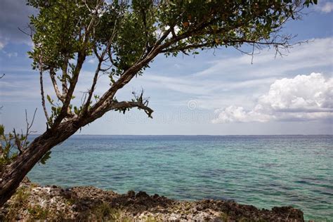 Coral Beaches And Turquoise Water On The Wild Noon Coast Of Cuba Bay