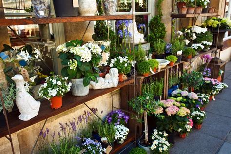 Outdoor Flower Shop Stock Image Image Of Pots Containers 42958207